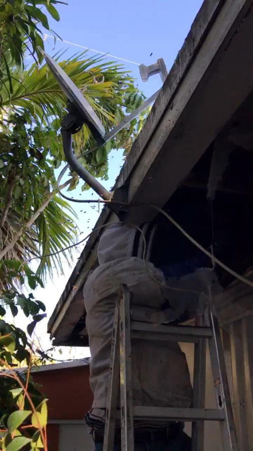 Bee removal from house